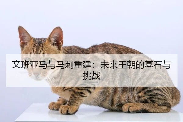 文班亚马与马刺重建：未来王朝的基石与挑战