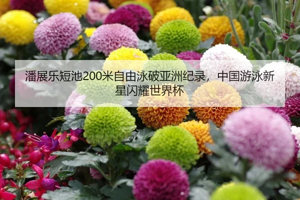 潘展乐短池200米自由泳破亚洲纪录，中国游泳新星闪耀世界杯