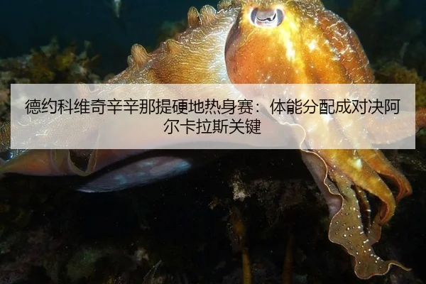 de-yue-ke-wei-qi-xin-xin-na-ti-ying-di-re-shen-sai-ti-neng-fen-pei-cheng-dui-jue-a-er-ka-la-si-guan-jian-3-427.jpg